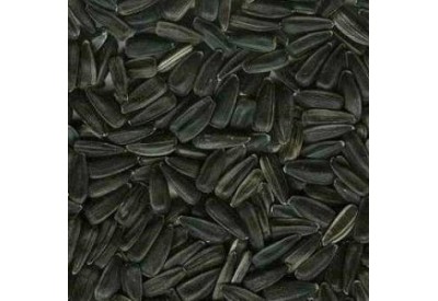 Black Sunflower Seed 1kg
